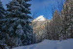 /Ski/2026/Images/2737/_1220219Icon.jpg