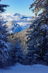/Ski/2026/Images/2737/_1220220Icon.jpg