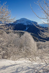 /Ski/2026/Images/2737/_1220223Icon.jpg