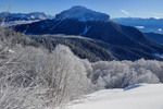 /Ski/2026/Images/2737/_1220225Icon.jpg