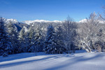 /Ski/2026/Images/2737/_1220230Icon.jpg
