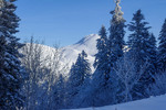 /Ski/2026/Images/2737/_1220232Icon.jpg