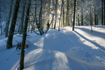 /Ski/2026/Images/2737/_1220239Icon.jpg