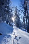 /Ski/2026/Images/2737/_1220241Icon.jpg
