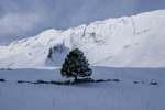 /Ski/2026/Images/2740/_1220374Icon.jpg