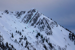 /Ski/2026/Images/2740/_1220430-itiIcon.jpg