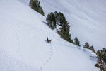 /Ski/2026/Images/2743/_1220595Icon.jpg