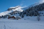/Ski/2026/Images/2750/_1230032Icon.jpg