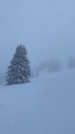 /Ski/2026/Images/2751/7rKnPIcon.jpg