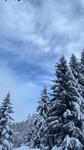 /Ski/2026/Images/2751/giZYDIcon.jpg