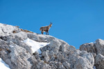 /Ski/2026/Images/2754/_1230212Icon.jpg