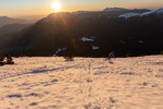 /Ski/2026/Images/2760/_MGL3904Icon.jpg