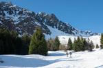 /Ski/2026/Images/2763/_1230435Icon.jpg