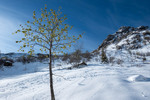 /Ski/2026/Images/2768/_1240027Icon.jpg